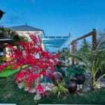 Bán Nhà Bình Chánh 1700m², 300m² Thổ Cư, Hướng Đông Nam – 3 Phòng Ngủ, 3 WC, Phòng Thờ