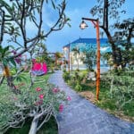 Bán Nhà Bình Chánh 1700m², 300m² Thổ Cư, Hướng Đông Nam – 3 Phòng Ngủ, 3 WC, Phòng Thờ