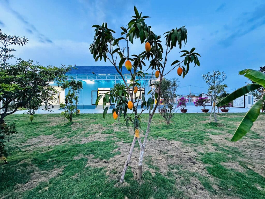 Bán Nhà Bình Chánh 1700m², 300m² Thổ Cư, Hướng Đông Nam – 3 Phòng Ngủ, 3 WC, Phòng Thờ