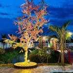 Bán Nhà Bình Chánh 1700m², 300m² Thổ Cư, Hướng Đông Nam – 3 Phòng Ngủ, 3 WC, Phòng Thờ