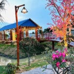 Bán Nhà Bình Chánh 1700m², 300m² Thổ Cư, Hướng Đông Nam – 3 Phòng Ngủ, 3 WC, Phòng Thơre