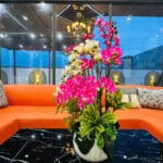Bán villa nghỉ dưỡng sân vườn hồ bơi – 550m2 thổ cư – Xe tải vào tận nơieee
