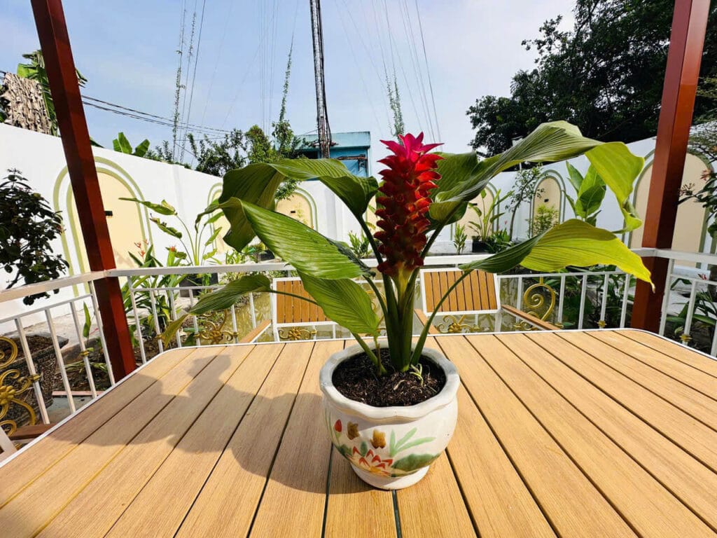 Villa sân vườn hồ cá vườn cây, diện tích 9,6x30m, 3 phòng ngủ, 2 WC, hướng Tây Nam,
