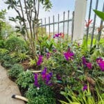 Nhà Bình Chánh Sổ Hồng Giá Tốt – Villa Sân Vườn Hiếm – Diện Tích 205m²