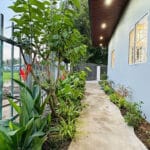 Nhà Bình Chánh Sổ Hồng Giá Tốt – Villa Sân Vườn Hiếm – Diện Tích 205m²