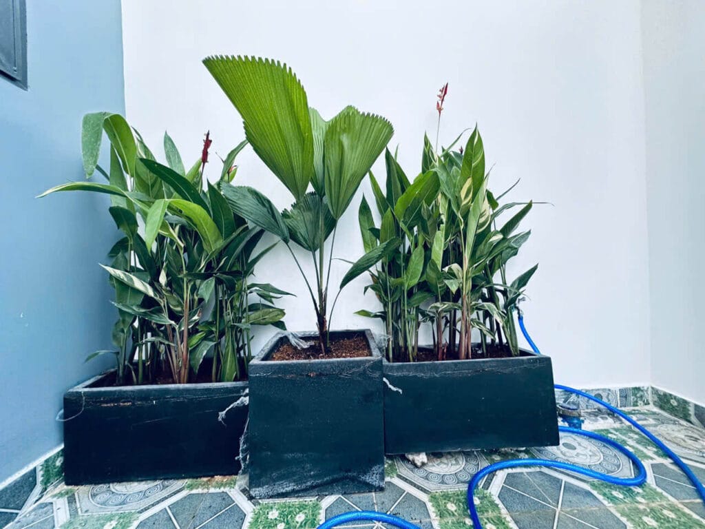 hà Bình Chánh Sổ Hồng – Căn Góc 2 Mặt Tiền 5,5x18 – Hướng Đông